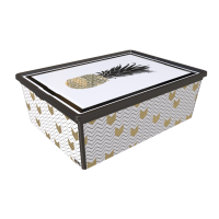  QUTU TREND BOX / PINEAPPLE LIFE 25. -  1