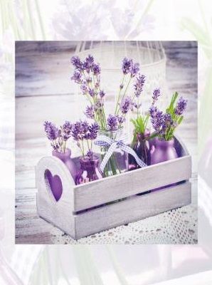  EVG 20sheet S29x32 LAVENDER -  1