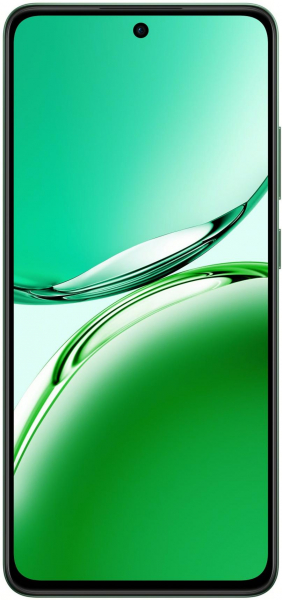  OPPO Reno12 FS 12/512GB Black Green (CPH2637) -  9