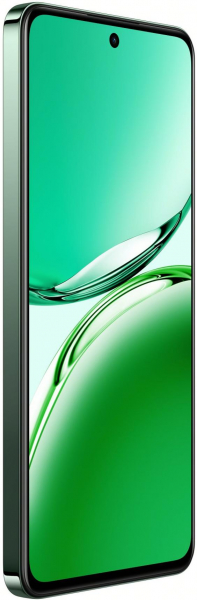  OPPO Reno12 FS 12/512GB Black Green (CPH2637) -  2