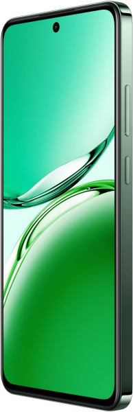  OPPO Reno12 FS 12/512GB Black Green (CPH2637) -  6