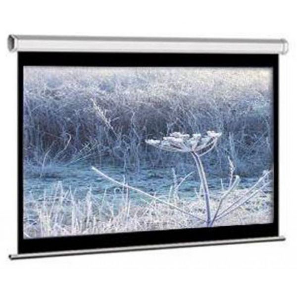   M100NWV1 Elite Screens -  1