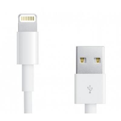  PowerPlant USB - Lightning (iPhone 5, 5S, 6), 1m (DV00DV4042) -  3