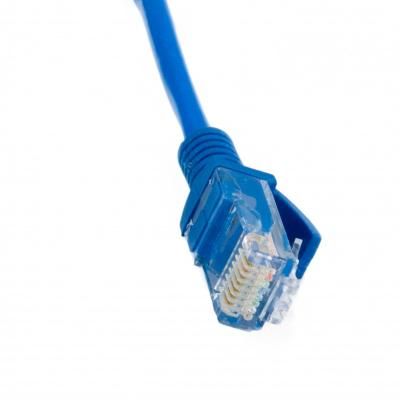 - 8 , UTP, Blue, Extradigital, , RJ45, .5 (KBP1770) -  2