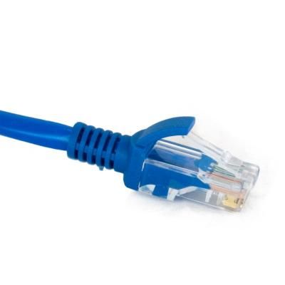 - 8 , UTP, Blue, Extradigital, , RJ45, .5 (KBP1770) -  3