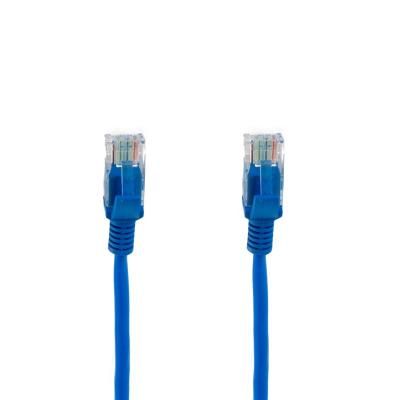 - 8 , UTP, Blue, Extradigital, , RJ45, .5 (KBP1770) -  4