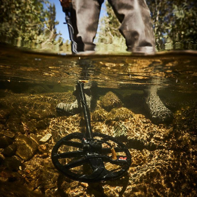  Minelab Equinox 800 + Pro Find 35 -  11