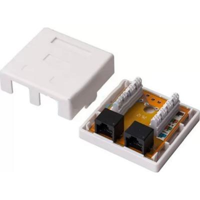   RJ45x2 UTP cat.5e Kingda (KD-WP6035-C5e) -  2