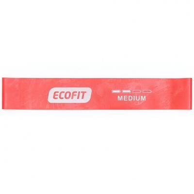  Ecofit MD1319 Medium 0.950610  -  1