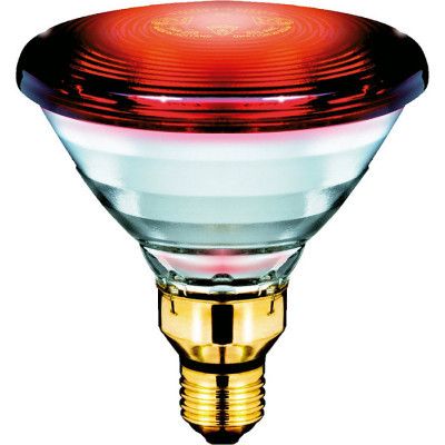  Philips PAR38 IR 150W E27 230V Red 1CT / 12 (923806644210) -  1