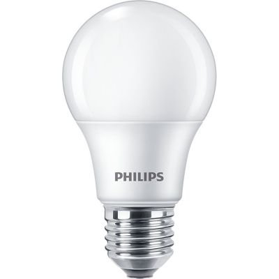  Philips Ecohome LED Bulb 9W 720lm E27 865 RCA (929002299117) -  1