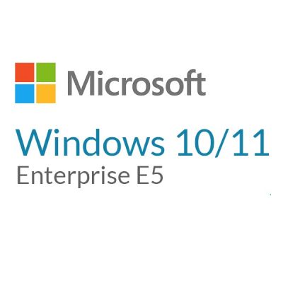   Microsoft Windows 10/11 Enterprise E5 P1Y Annual License (CFQ7TTC0LFNW_0002_P1Y_A) -  1