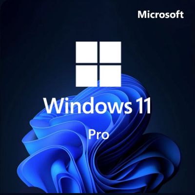   Microsoft Win Pro 11 64-bit All Lng PK Lic Online DwnLd NR (FQC-10572) -  1