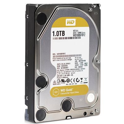 WD Gold[WD1005FBYZ] WD1005FBYZ -  2