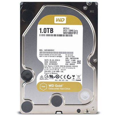 WD Gold[WD1005FBYZ] WD1005FBYZ -  1