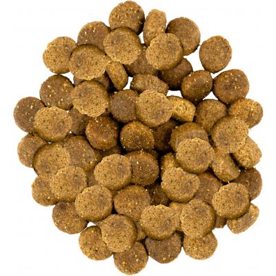     Savory Medium Breed rich in Fresh Turkey and Lamb 12  (4820232630273) -  5