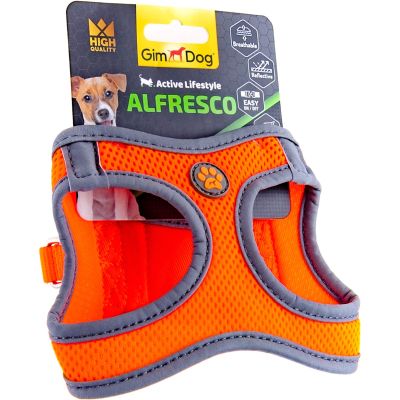    GimDog Alfresco XS  34-36   (8009632059884) -  1