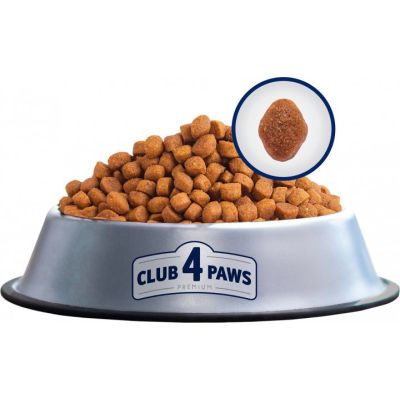     Club 4 Paws .  ,    4  1 900  (4820083909412) -  3