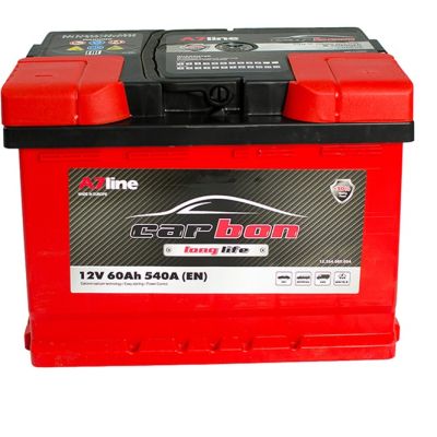   CARBON 60 Ah/12V Euro (CRB60-00) -  1