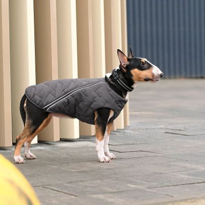    Pet Fashion "E.Vest" M  (4823082424399) -  3