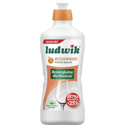      Ludwik  450  (5900498028249) -  1