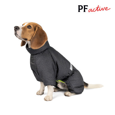    Pet Fashion "COLD" M () (4823082426294) -  3