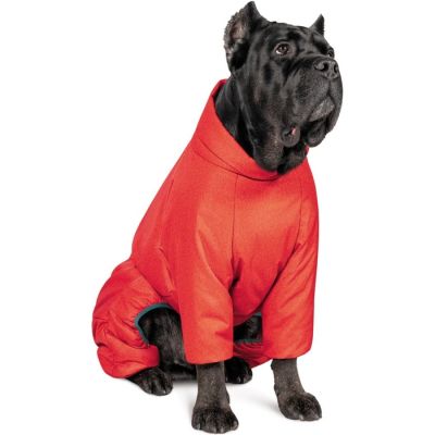    Pet Fashion Cold SM () (4823082426089) -  1