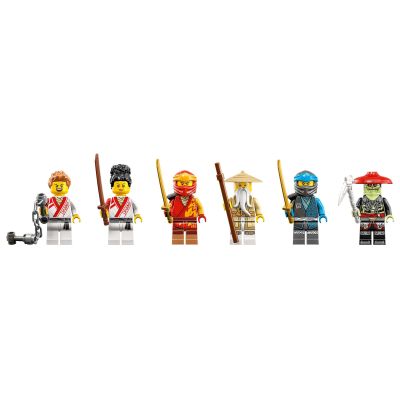  LEGO Ninjago       (71787) -  5