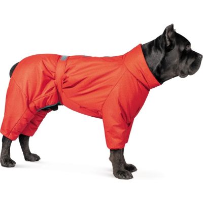    Pet Fashion Cold ML () (4823082426102) -  3