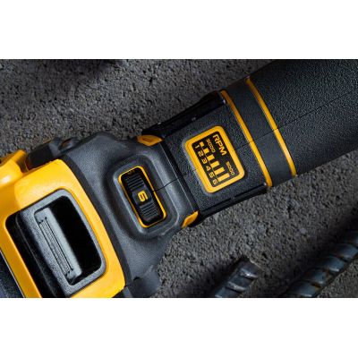   DeWALT 18 XR Li-lon, 125, 3000-9000 / (   ) (DCG416VSN) -  8