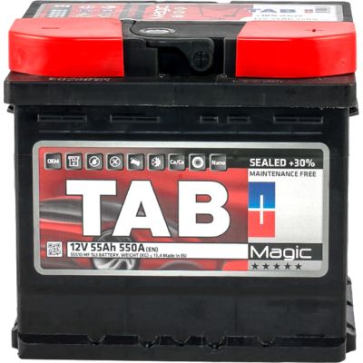   TAB 55 Ah/12V Magic Euro (189 058) -  1