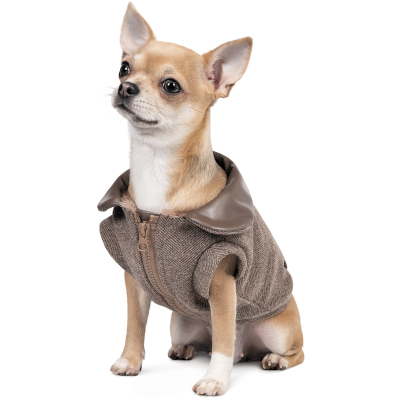    Pet Fashion Harry XS2 (4823082430109) -  2