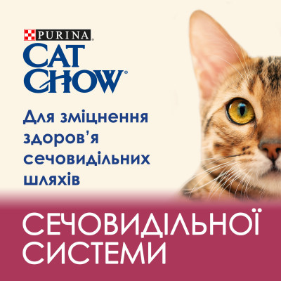     Purina Cat Chow Urinary Tract Health   15  (5997204514424) -  5