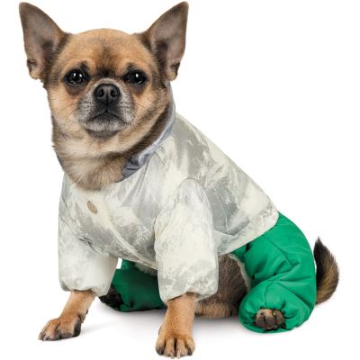    Pet Fashion Pf Style XS (4823082427970) -  5