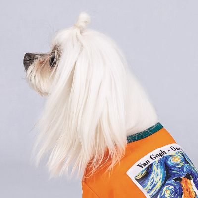    Pet Fashion "ART" XS2  (4823082420933) -  5