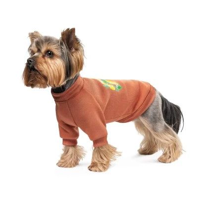    Pet Fashion Miley XS (4823082434701) -  1