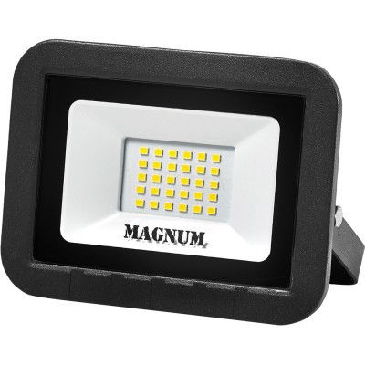  MAGNUM FL ECO LED 30 slim_6500 IP65 (90011660) -  1