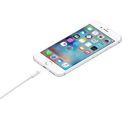   Lightning to USB 1.0m Model A1480 Apple (MUQW3ZM/A) -  3