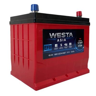   Westa 6CT-65  ASIA EFB (WAE650) -  1