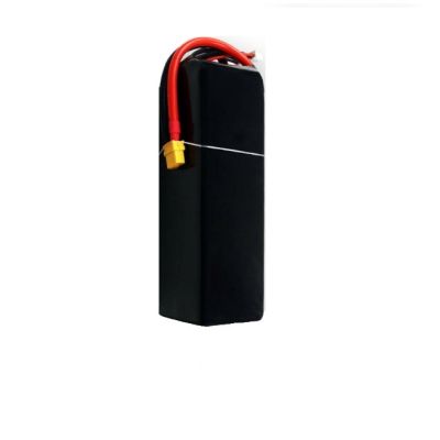    Hobbyporter Lipo 6s 22.2V 6200mAh 65C XT60 (HP0223.0005) -  1