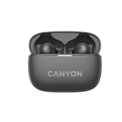  Canyon TWS-10 OnGo ANC ENC Graphite (CNS-TWS10B) -  12