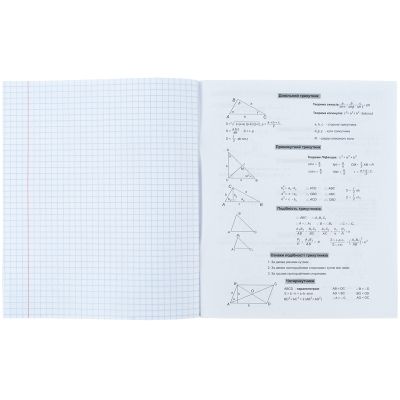  Kite  Neo 48 ,   (K24-240-11) -  5