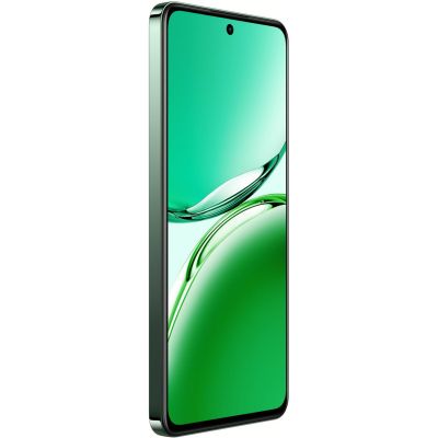   Oppo Reno12 FS 5G 12/512GB Black Green (OFCPH2637_BLACK) -  3