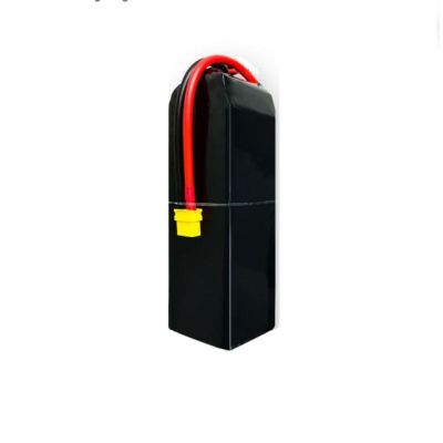    Hobbyporter Lipo 6s 22.2V 4200mAh 65C XT60 (HP0223.0004) -  1