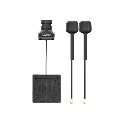 ³ FPV CADDXFPV Walksnail Avatar HD Pro Kit 32G (Dual Antennas Version) (WN08-6S14B) -  2