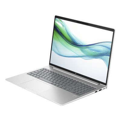  HP ProBook 460 G11 (8Z675AV_V4) -  3