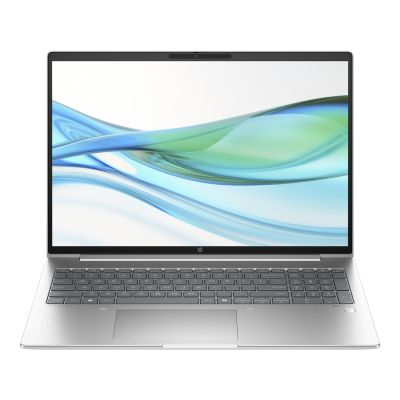  HP ProBook 460 G11 (8Z675AV_V4) -  1