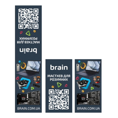    Brain  1 . (2000004030254) -  1