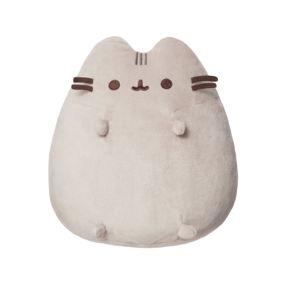 '  Aurora Pusheen ()  22  (210381B) -  1