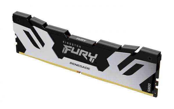  ' DDR5 16GB/6400 Kingston Fury Renegade Silver (KF564C32RS-16) -  2